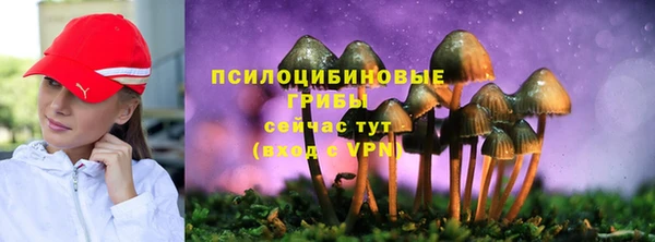 jwh Новодвинск