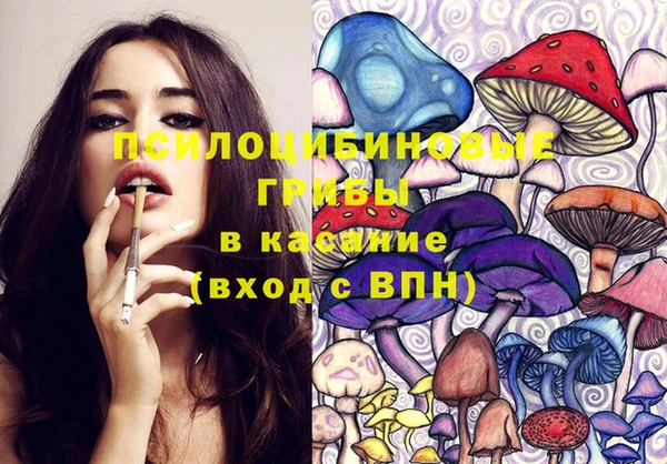 шишки Нея