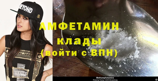 мет Алексин