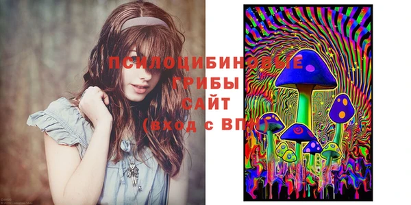 СК Алзамай