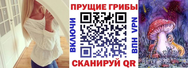 МЕГА tor  Приморск  Псилоцибиновые грибы Psilocybe 
